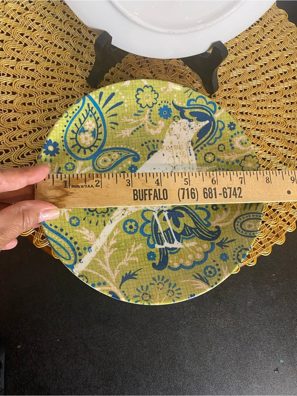 Pier 1 Green Bird Pattern 8” Salad Plates - Set of 2 (replacement/Discontinued)